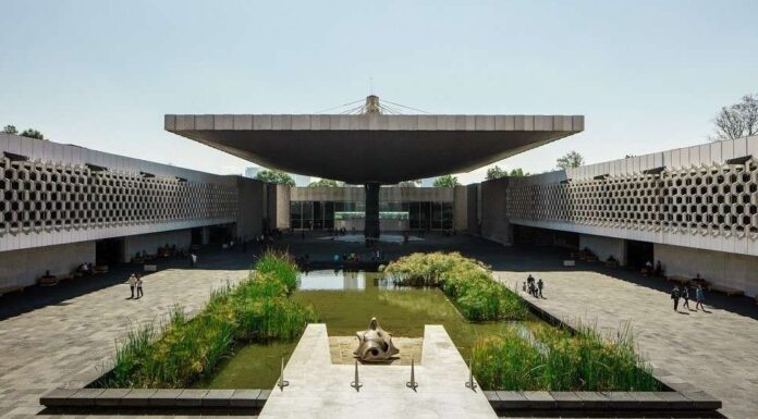 Visitar el Museo Nacional de Antropología sin perderte nada Museo Nacional de Antropología